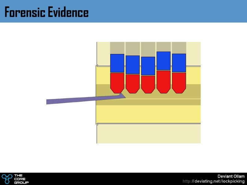 Forensic Evidence